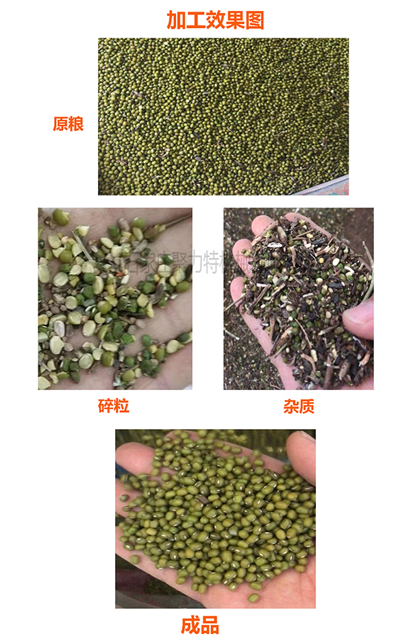 1590022885101860.jpg 綠豆風(fēng)篩清選效果圖600.jpg