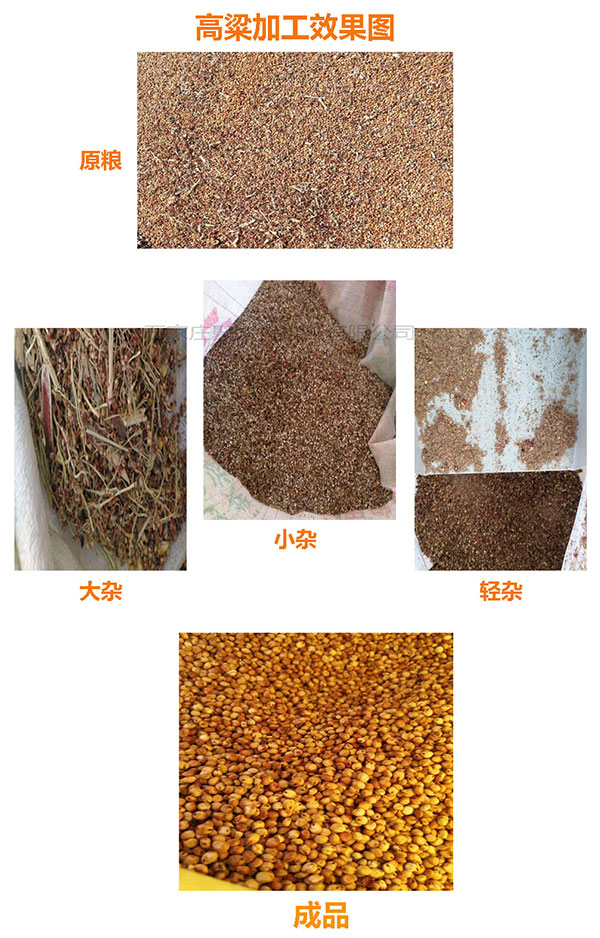 1590030322842908.jpg 高粱加工效果圖.jpg