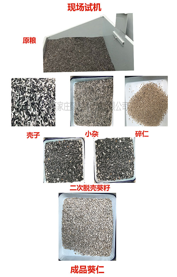 1590983334839938.jpg 葵花籽效果圖.jpg