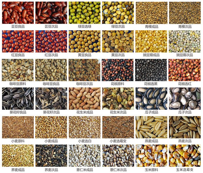 1626406926899298.jpg x.jpg