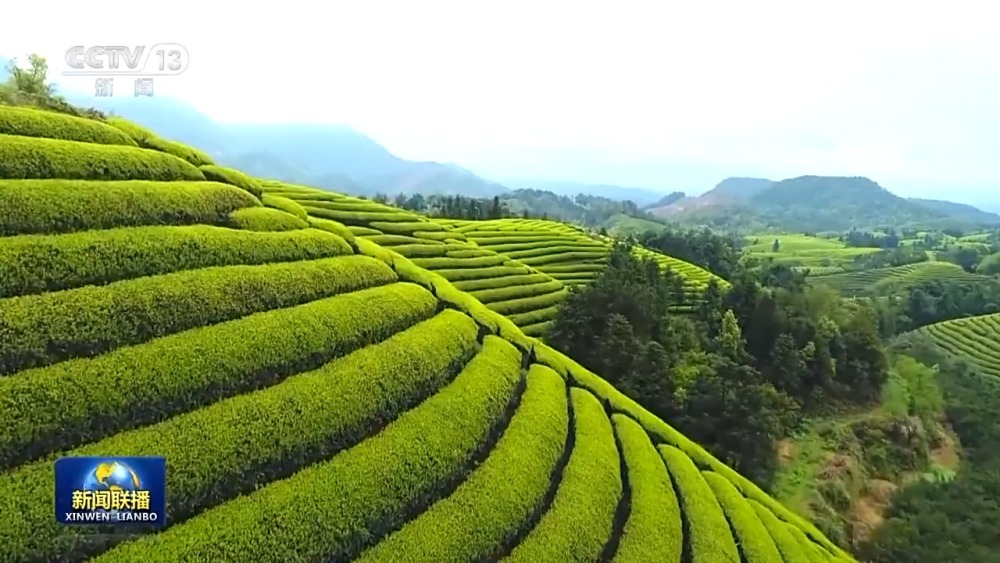 1699604914504676.jpeg 20231110_162639_003.jpeg