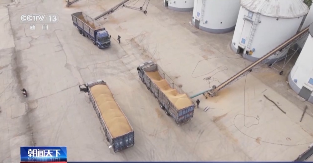 1700809243251174.jpg 20231124_143531_002.jpg