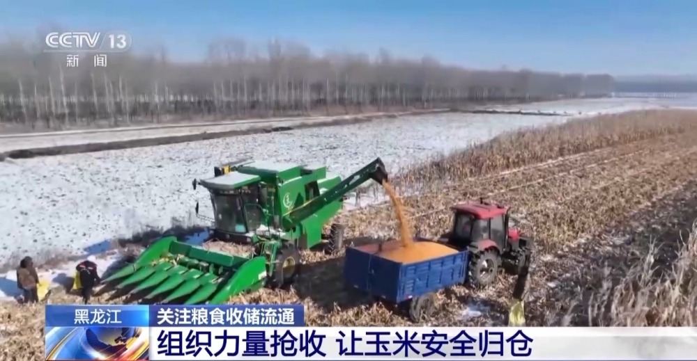 1700809349878355.jpg 20231124_143531_003.jpg