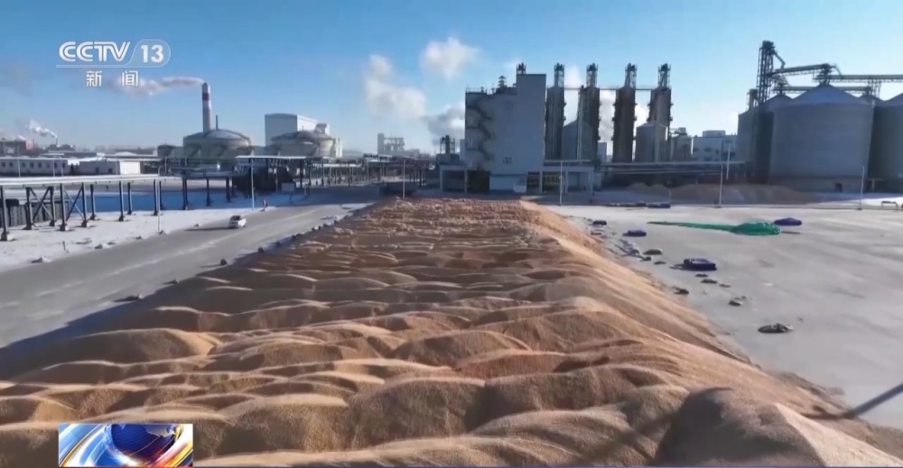 1700809374725755.jpg 20231124_143531_004.jpg