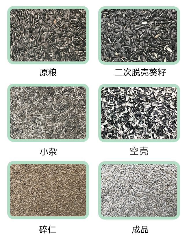 葵花籽脫殼生產(chǎn)線小程序.jpg